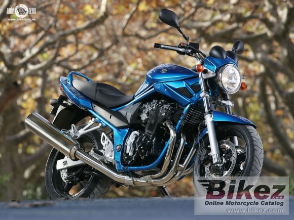 2006 Suzuki Bandit 650 photo